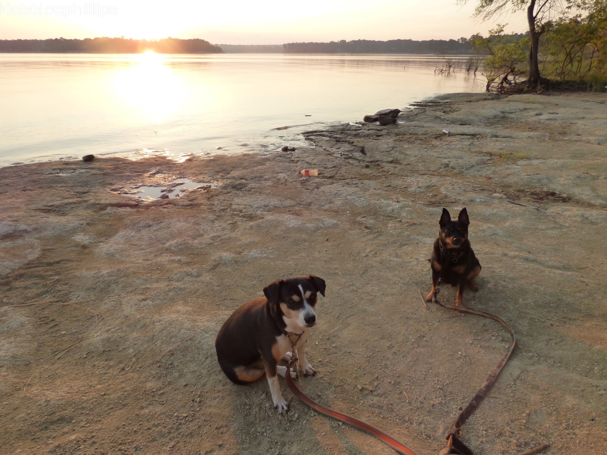 DebbieCPhillipsPhotography Twin Dikes Park Campground