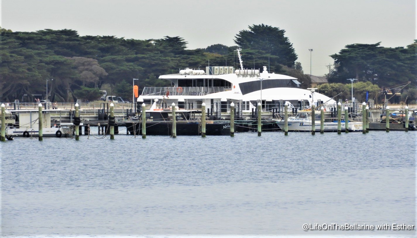 Life On The Bellarine Lions Port Market at Portarlington