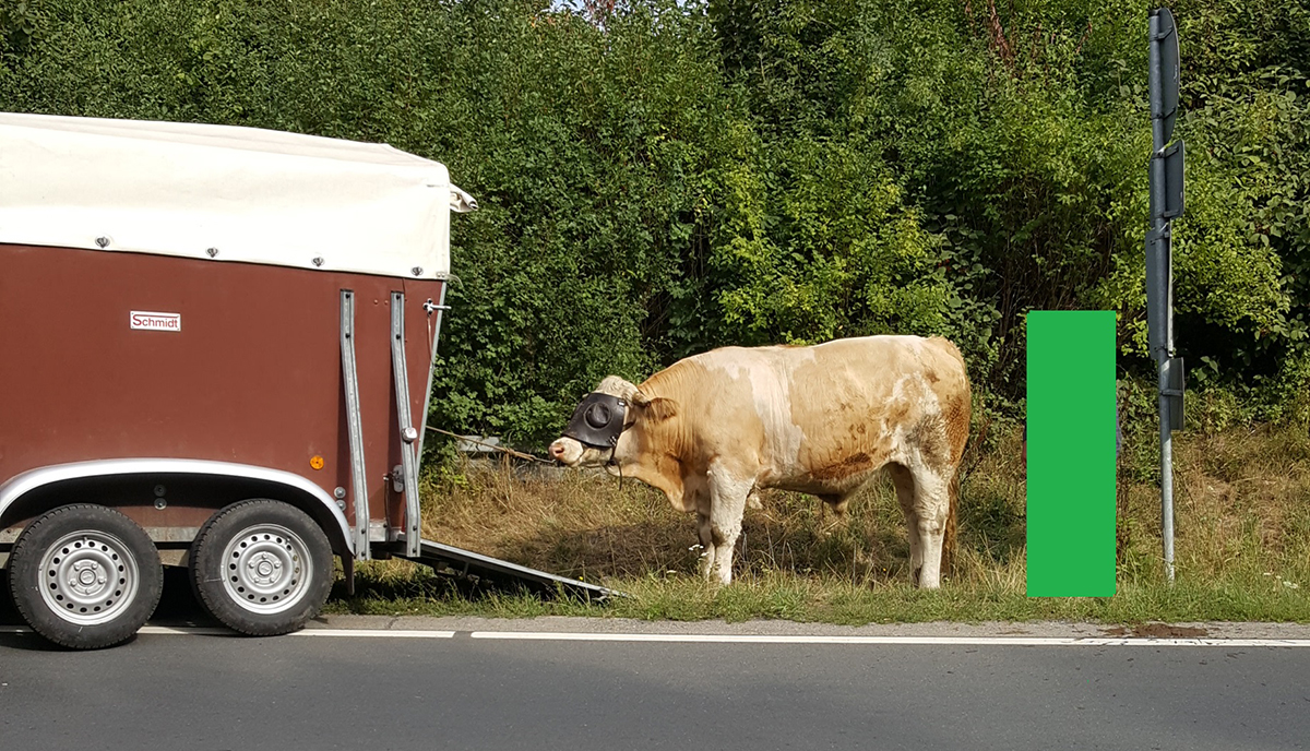 Ein Tag Im Freizeitpark Toverland Beauty Mami