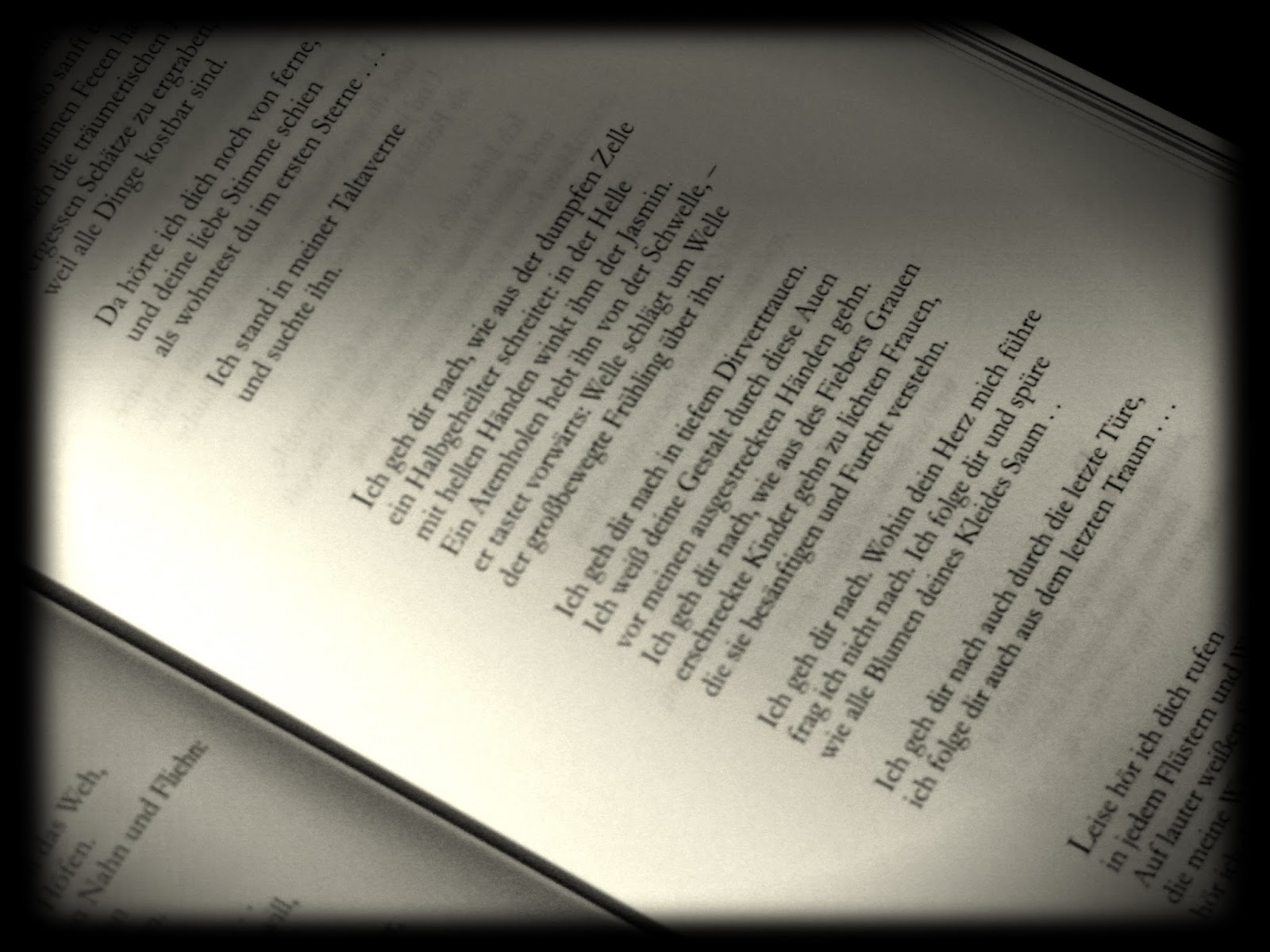 Neuerscheinungen Oktober Little Words Literaturblog Buchblog