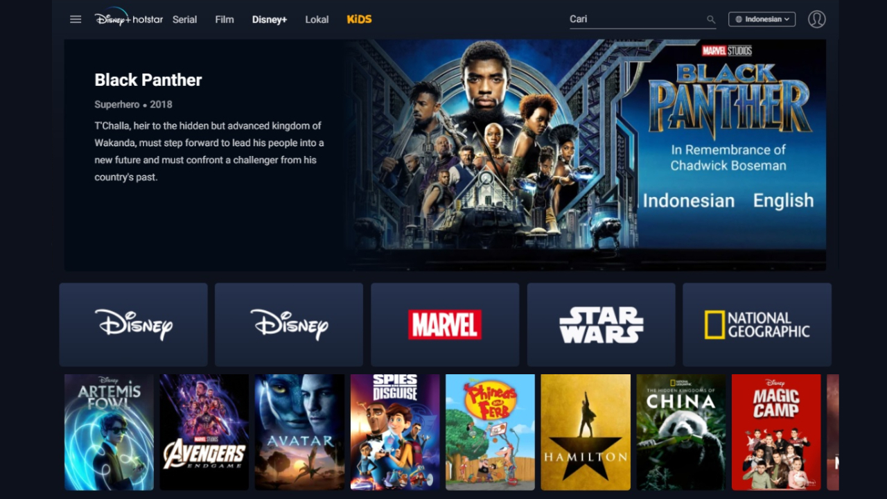 Disney+ Hotstar Hot Star Multiplex Disney Plus Hotstar Hotstar
