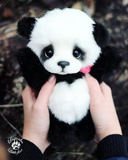 Gambar Panda Keren