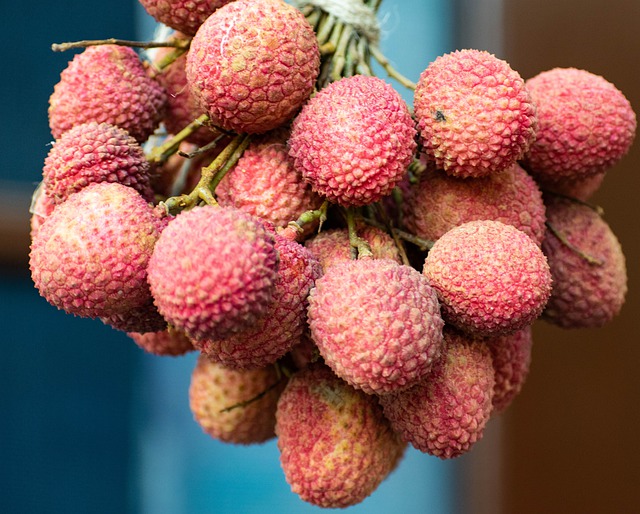 Litchi