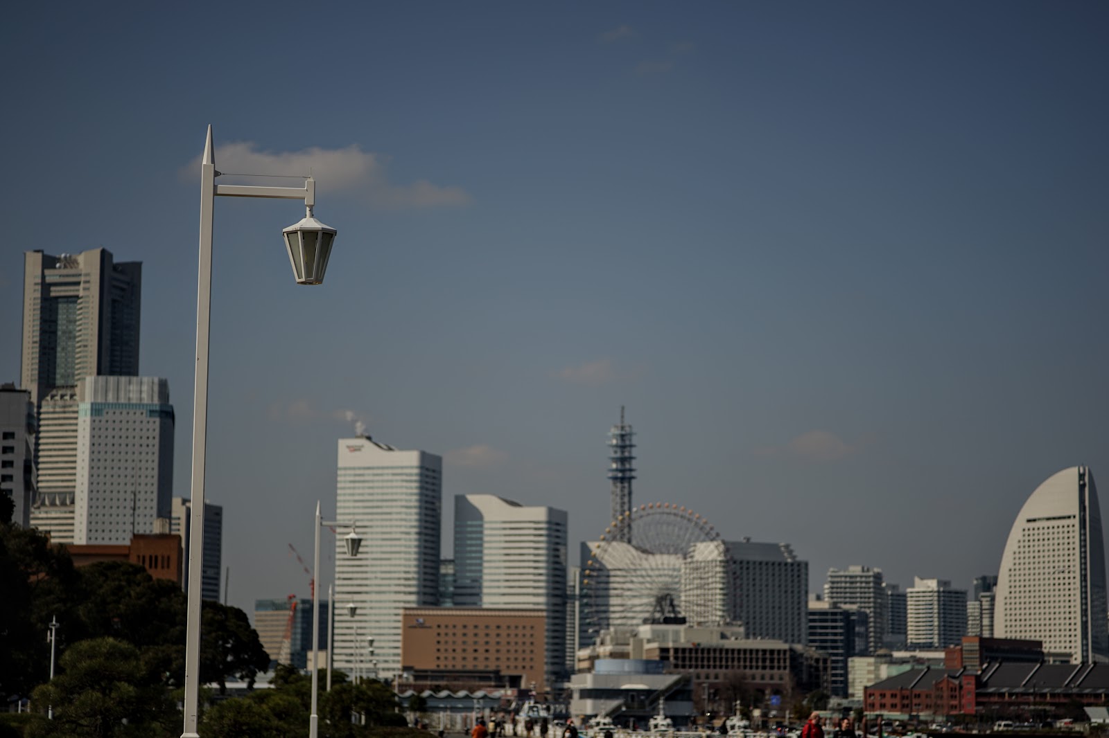 DSC07284.JPG
