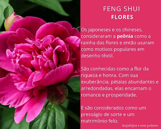 As Flores no Feng Shui