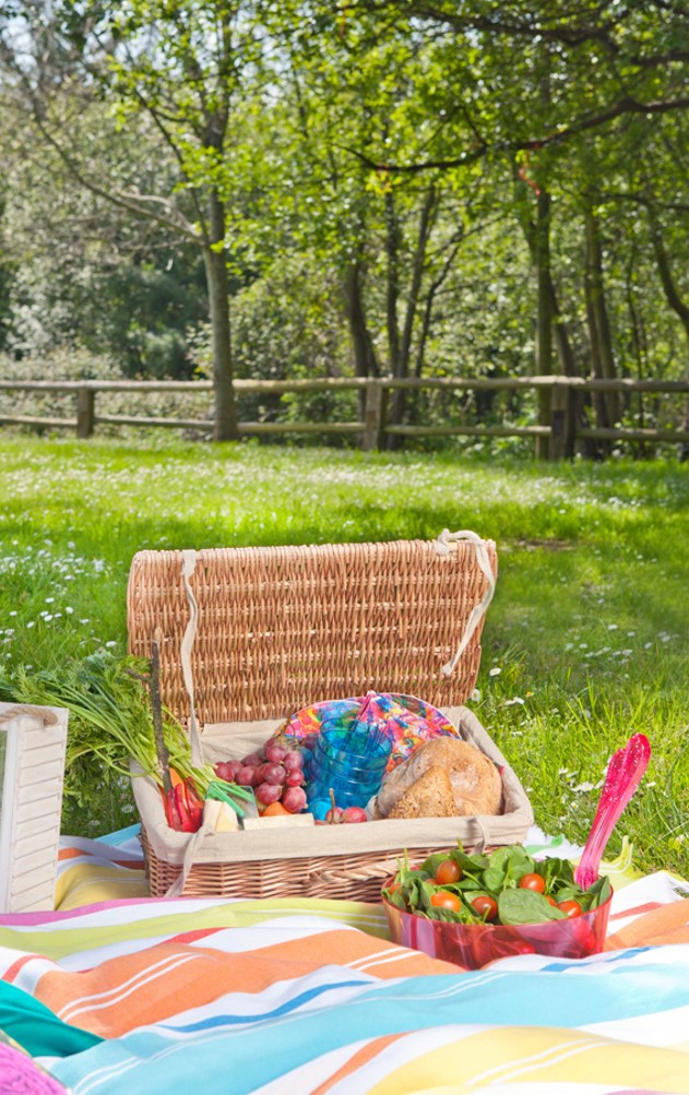 Decoración Fácil VAMOS DE PICNIC CON ZARA HOME