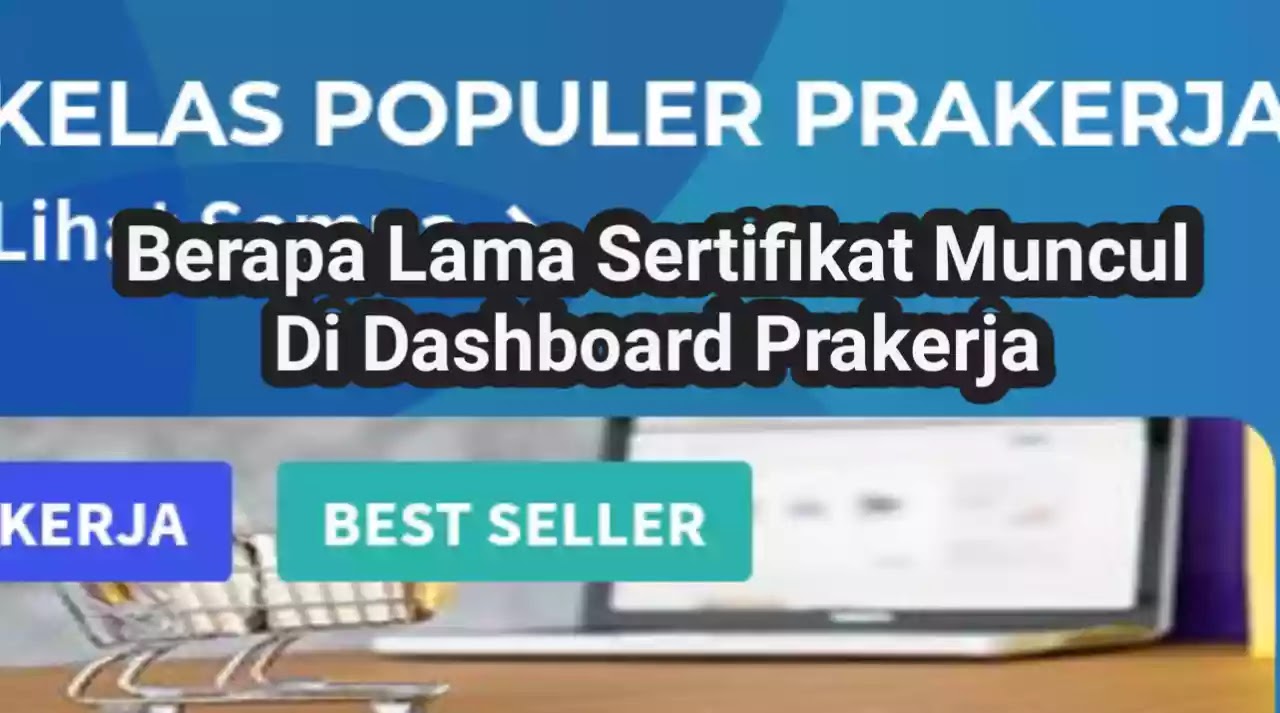 Berapa Lama Sertifikat Muncul Di Dashboard Prakerja Canva Pedia