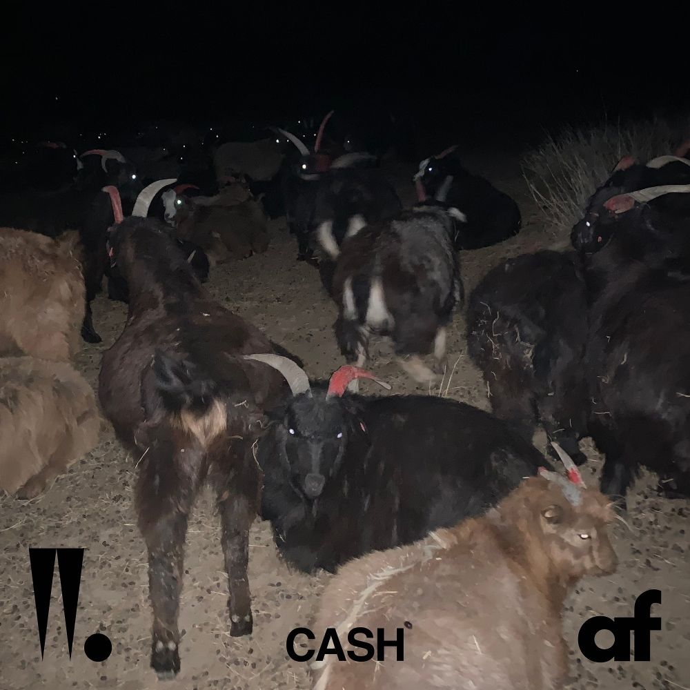 Woo Won Jae – CASH – Single