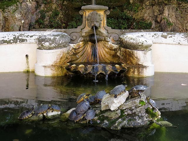 Turtles, fountain of Villa Mimbelli, Livorno