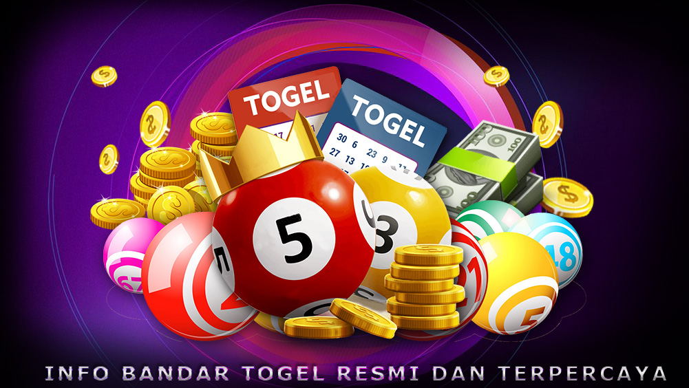 Bandar Live Dingdong Online Resmi Dan Terpercaya INFO