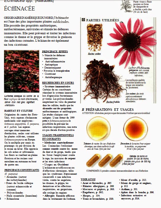 تحميل Larousse Des Plantes Médicinales قاموس النباتات باللغة الفرنسية بالصور Dix+plants