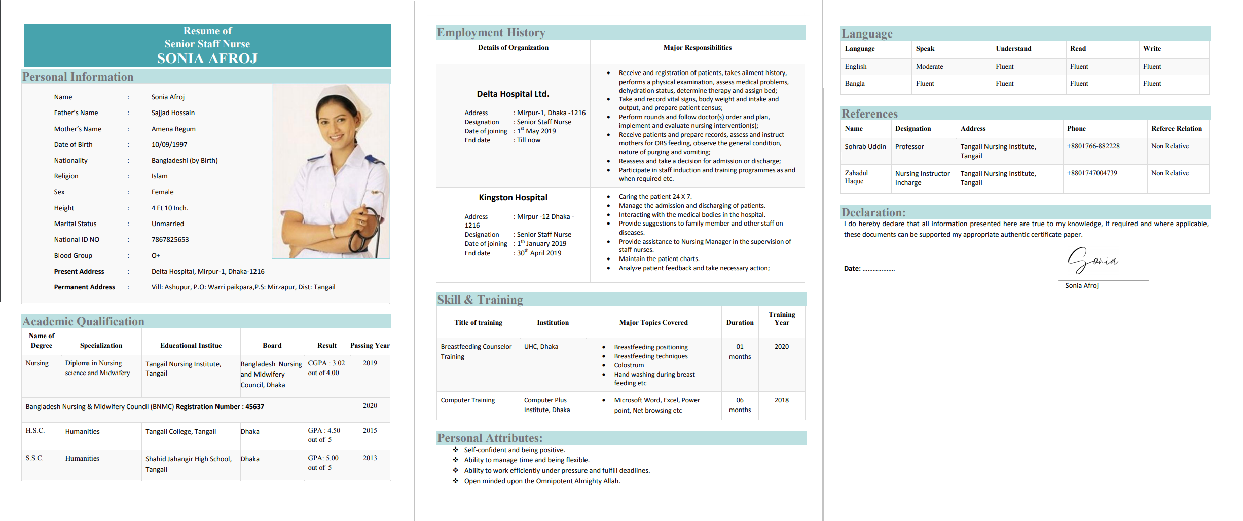 Some Best CV Style for Nursing Job