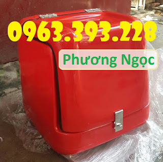 Thùng giao hàng loại nhỏ, thùng chở hàng sau xe máy 12dedf0ef7eb10b549fa