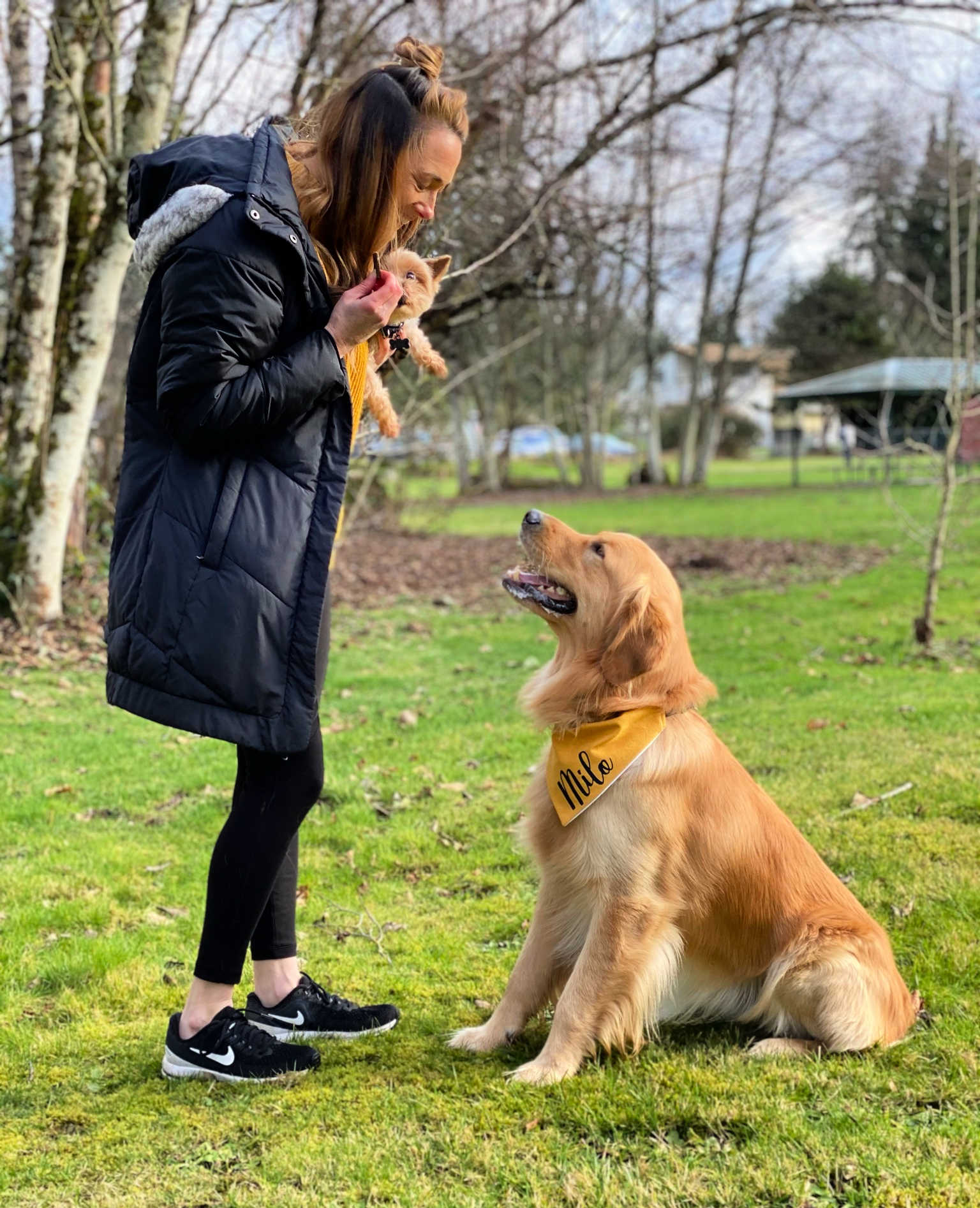 personalized dog bandana using the cricut joy