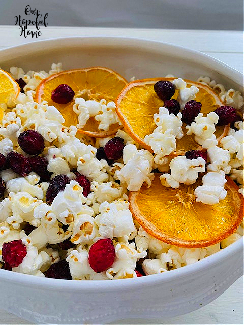dried cranberry orange slices air popped popcorn