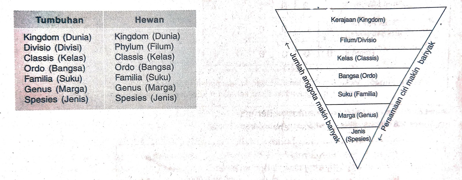 Biologi X Semester 1 Keanekaragaman Hayati pada