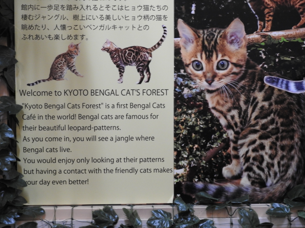 Chris John S Travel Log