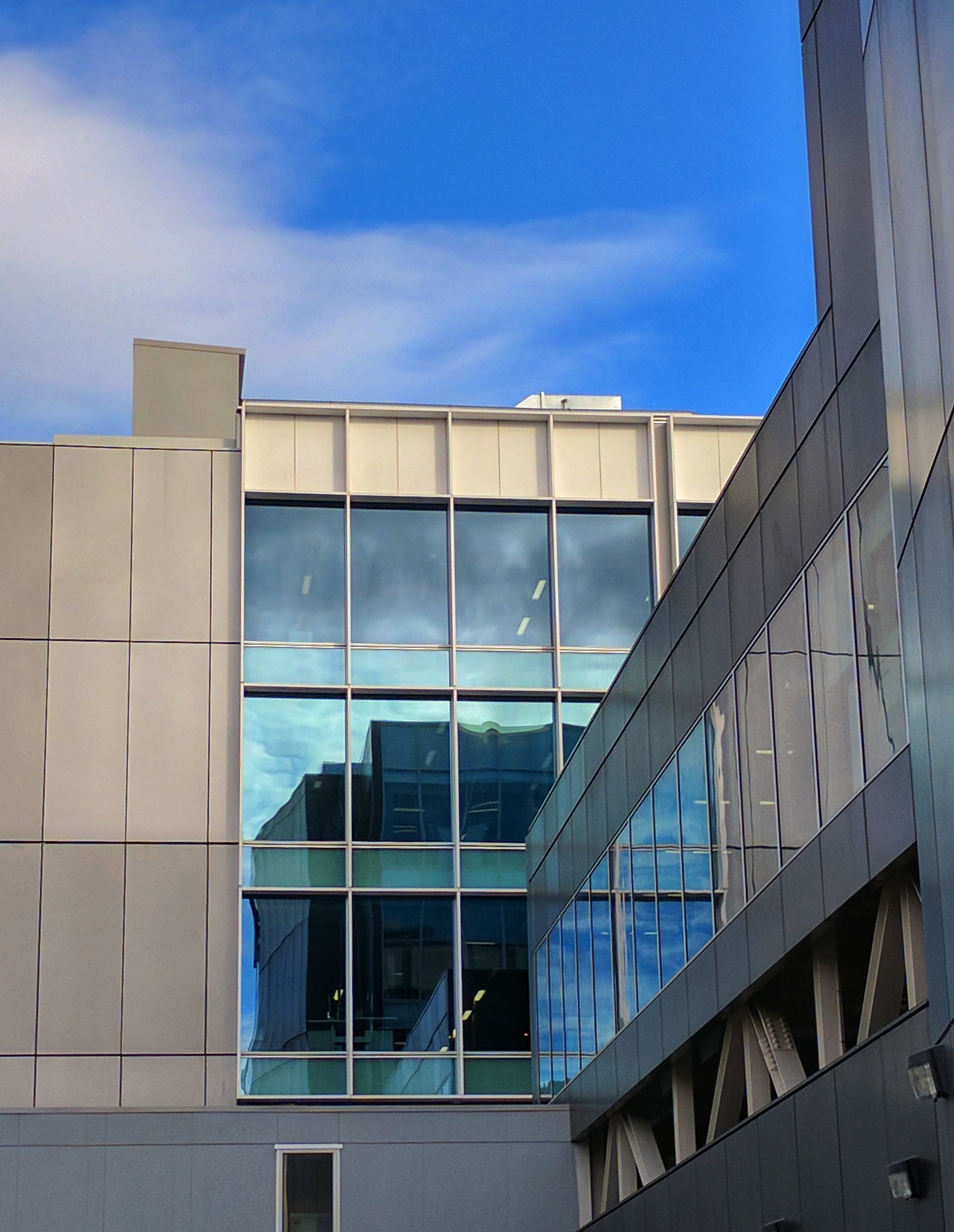 Hard lines of Christchurch (NZ) buildings