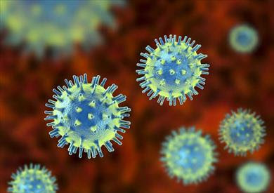  الامراض الفيروسية التي تصيب الانسان، ماهي الامراض الفيروسية، كيف تتكاثر الفيروسات، كيف تتكاثر الفيروسات في الجسم، كيف تتكاثر البكتيريا والفيروسات، ما هو الفيروس، ما هو الفيروس التاجي
