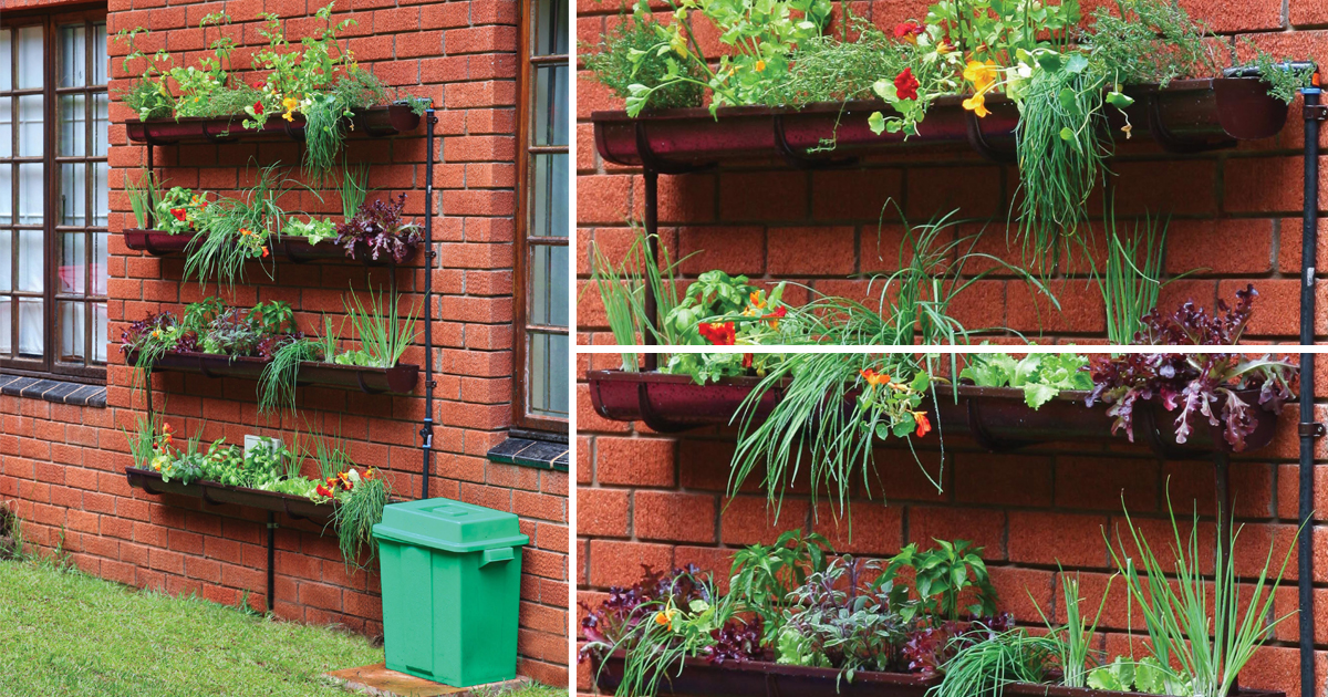 BUILD YOUR OWN GUTTER GARDEN IN 10 EASY STEPS Jet Club