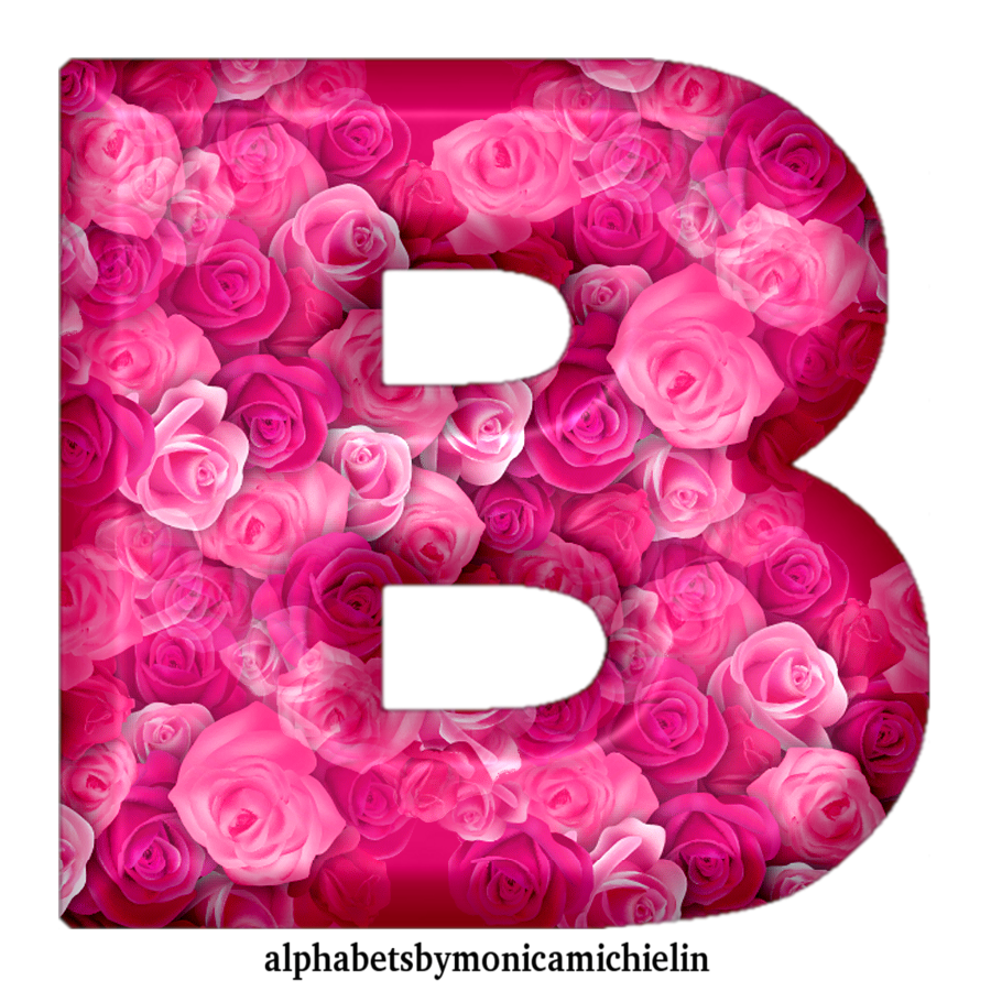Monica Michielin Alphabets: PINK ROSES SEAMLESS ALPHABET, NUMBERS AND ...