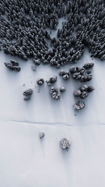 Forest, Snow, Aerial view, Winter