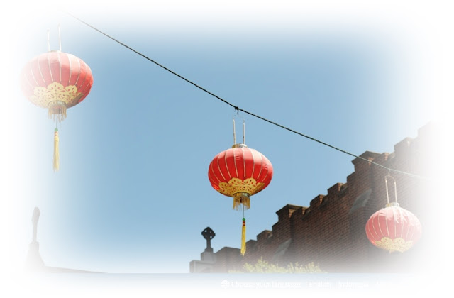 donasaurus.com lampion