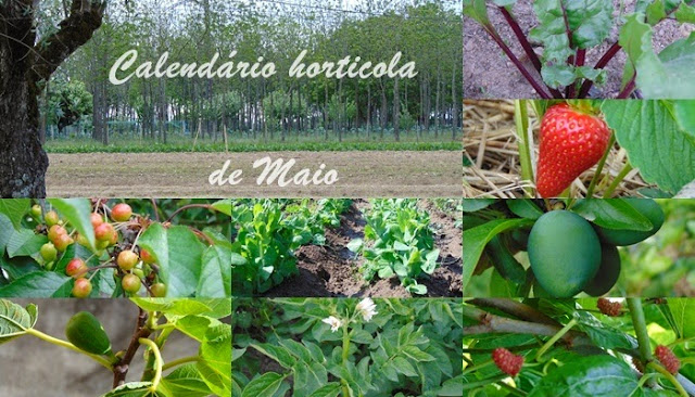 Sementeiras de Maio Calendário Agrícula de Maio