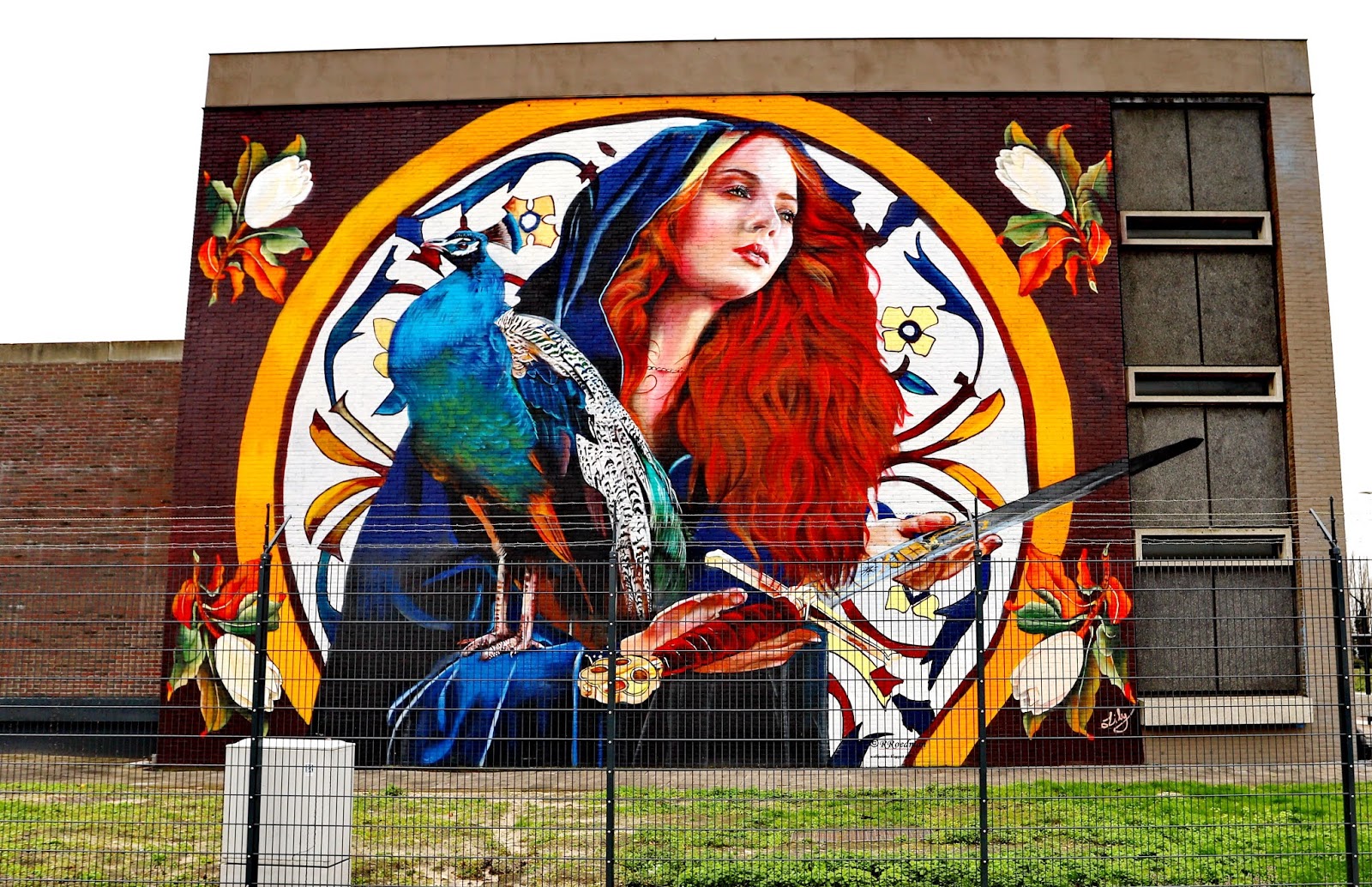 Street Art Den Haag Netherlands