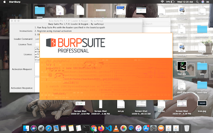 burp suite pro license key download