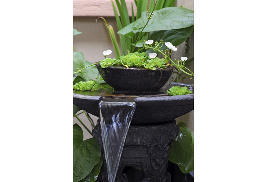 55 hermosas ideas de patio trasero - SKPlus