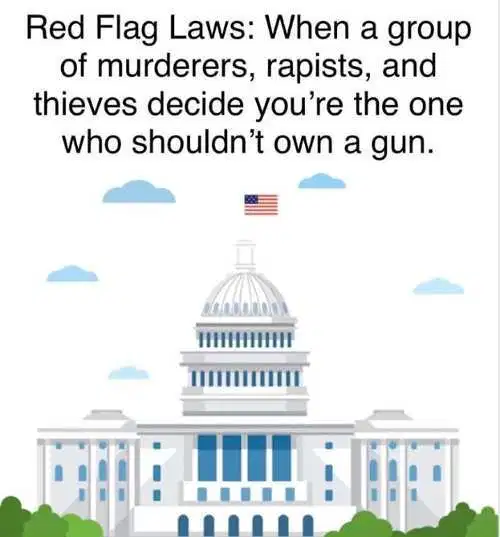 Red Flag Laws explained Wired Right