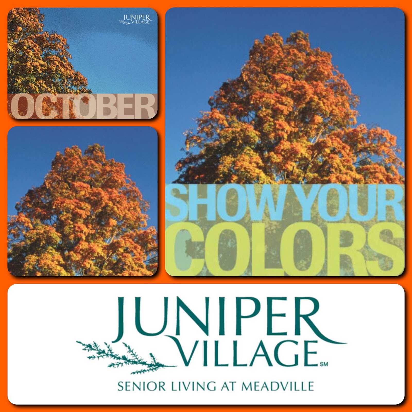 Juniper Village At Meadville October 2015 Events In Meadville PA juniper-village-at-meadville-october-2015-events-in-meadville-pa