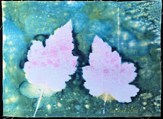 Wet cyanotype_Sue Reno_Image 354