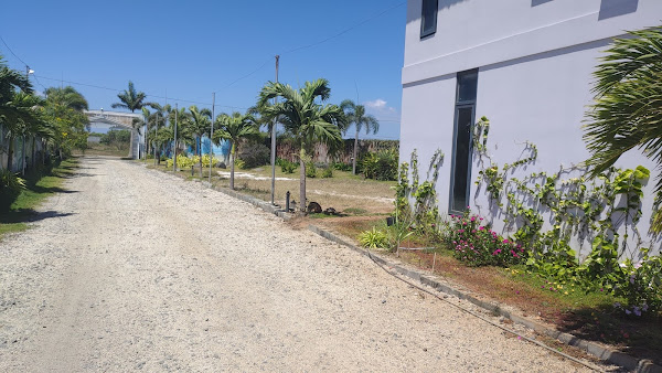 ảnh thực tế nền đất đang được bán tại dự án Happy Garden Hồ Tràm, thuộc chủ đầu tư thiên hải group