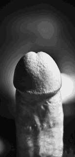securedownload+(10).gif