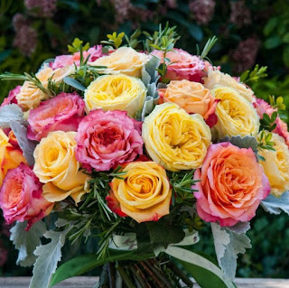 Rose Quartz Reads September October Wrap Up