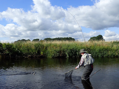 Net at the ready!