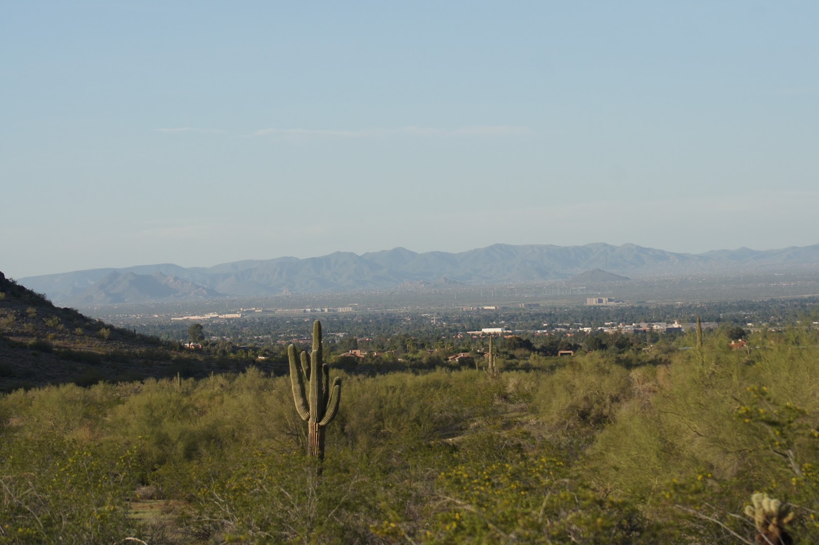 Tommy D's Birding Expeditions: Birding at the Phoenix Mountains Preserve
