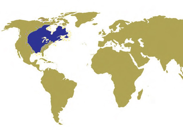 Территория Новой Франции до 1713 г.