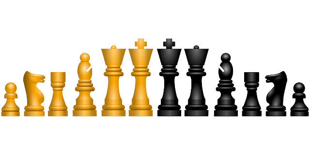 Campeonato mundial de xadrez - frwiki.wiki