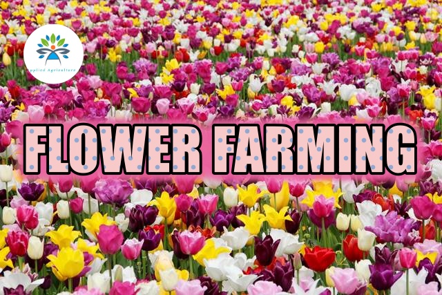 flower farming business plan