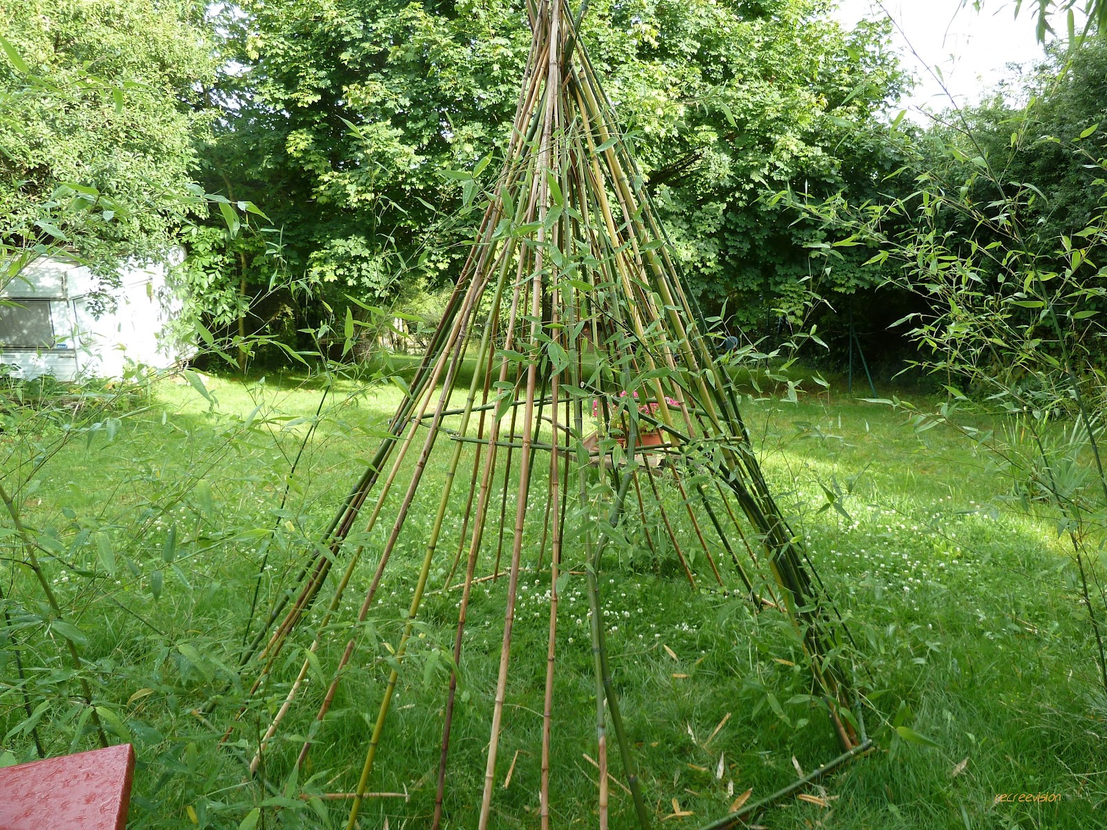 RECREEVISION que faire d