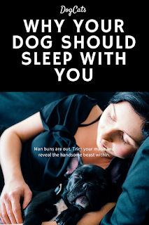why dogs should sleep with you why should dog sleeps with me why dogs should sleep with you dog sleeps 5 Great Reasons Your Dog Should Sleep With You why Your Dog Should Sleep With You why dog     Reaons