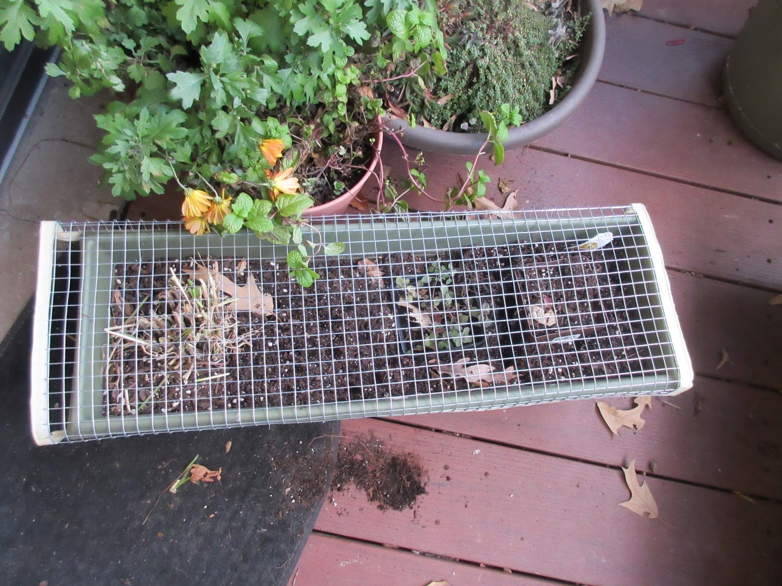 My Slight Obsessions