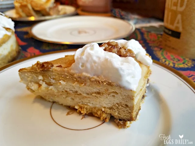 Slice of Pumpkin spice swirl cheesecake with candied walnuts