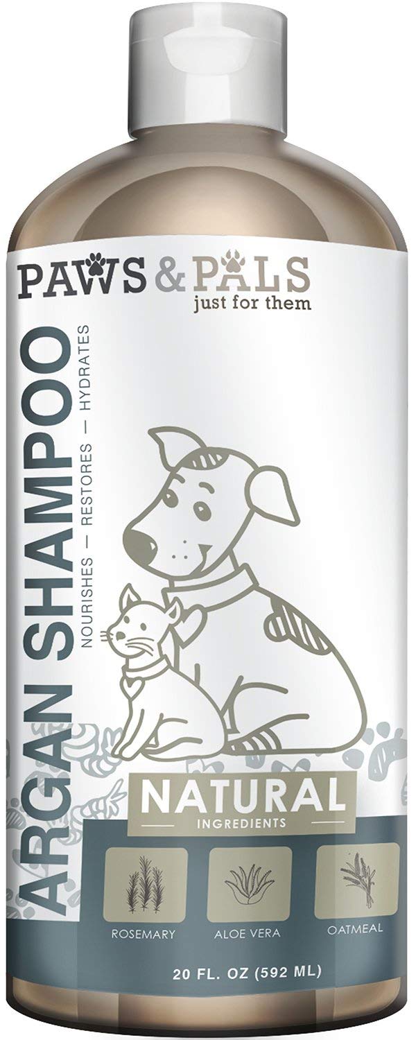 Top 10 Best Shampoo For Dogs in India 2023 [Updated]