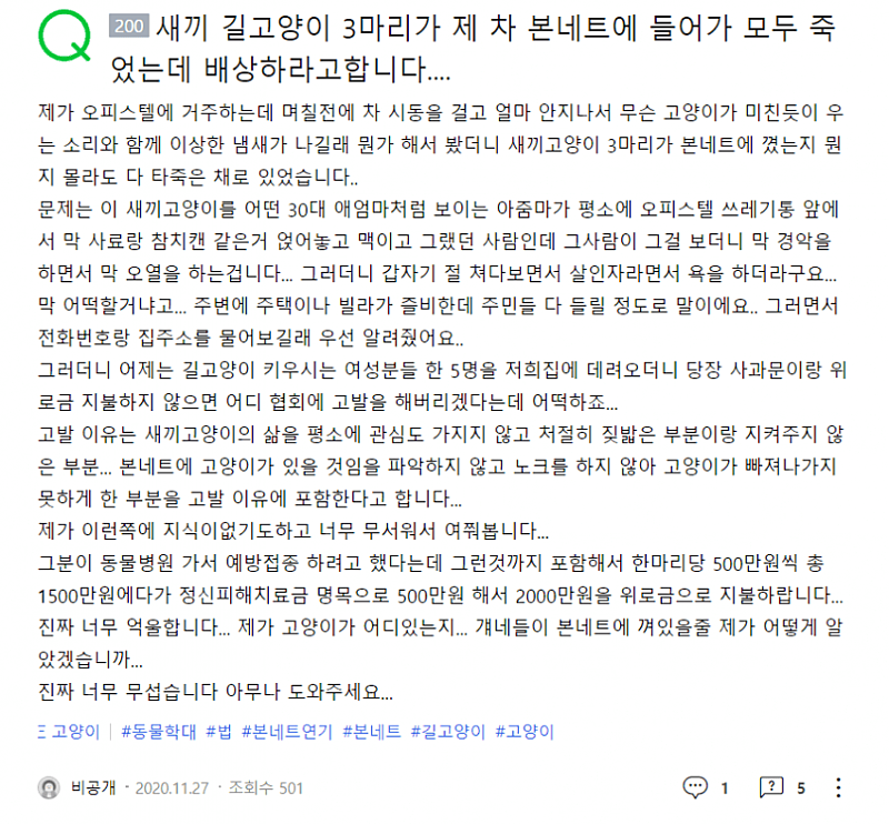 캣맘 레전드 갱신 - 꾸르
