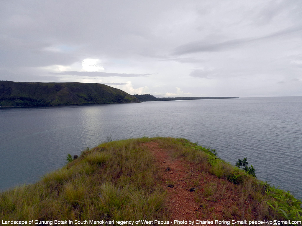 Birding and Wildlife Watching: Panoramic Tour to Gunung Botak of Manokwari