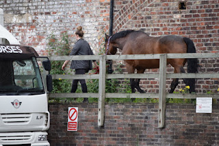 A horse is being led back to the Stables after exercise